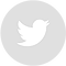 Twitter - Grey Circle